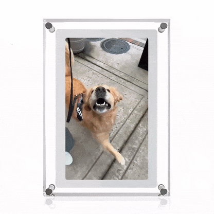 MomentFrame Digital Frame